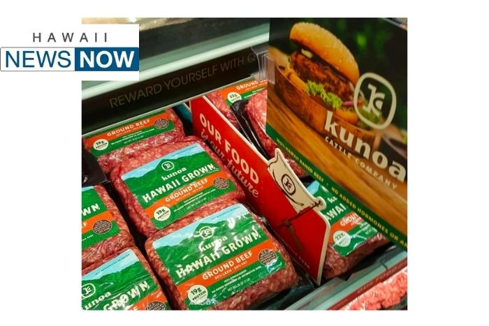 Kitchen Creations: Reuben spring rolls