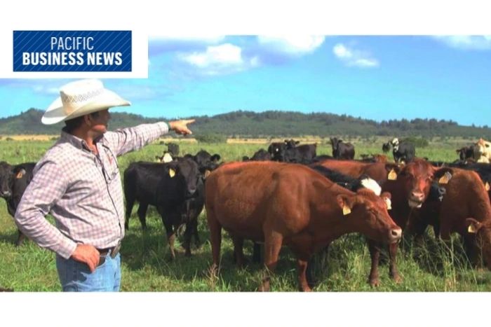 Kunoa Announces Expansion To Operations, Executive Team