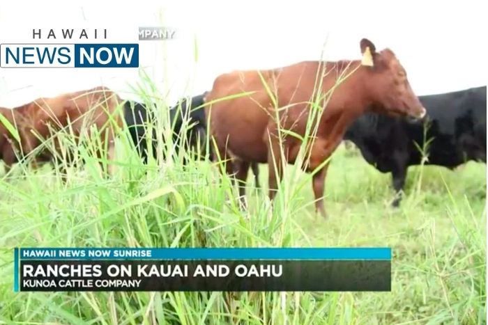 Local Meat Producer Expands Operations on Oahu and Kauai