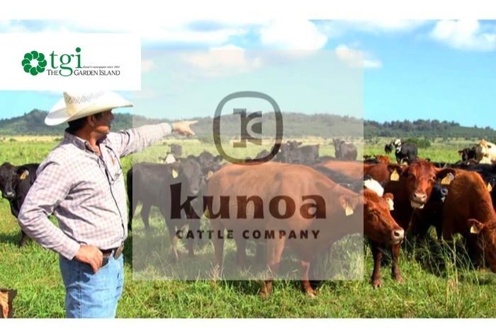Kunoa Expands, Announces Major Contracts