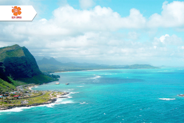 Hawaii Sweepstakes Come Roaring Back