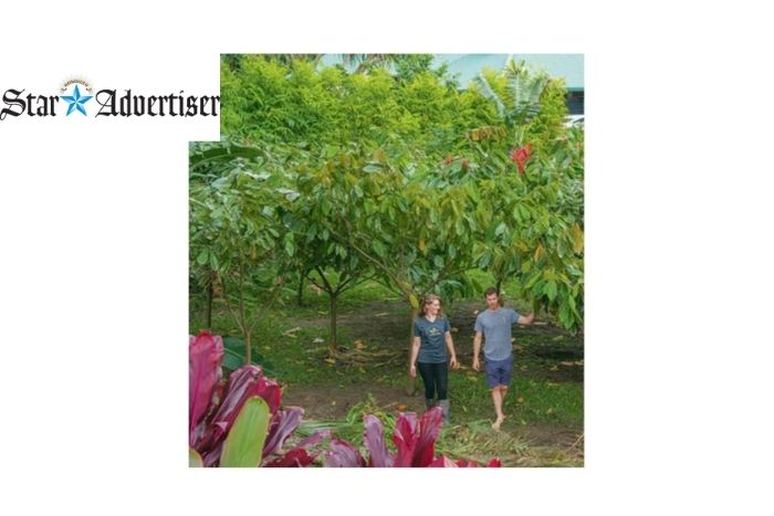 Advocates Work To Make Hawai'i A Napa Valley For Craft Chocolate